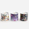 Fine Set Of 3 Votive Candles