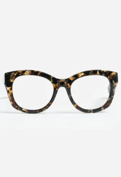 Florence Readers Tortoise