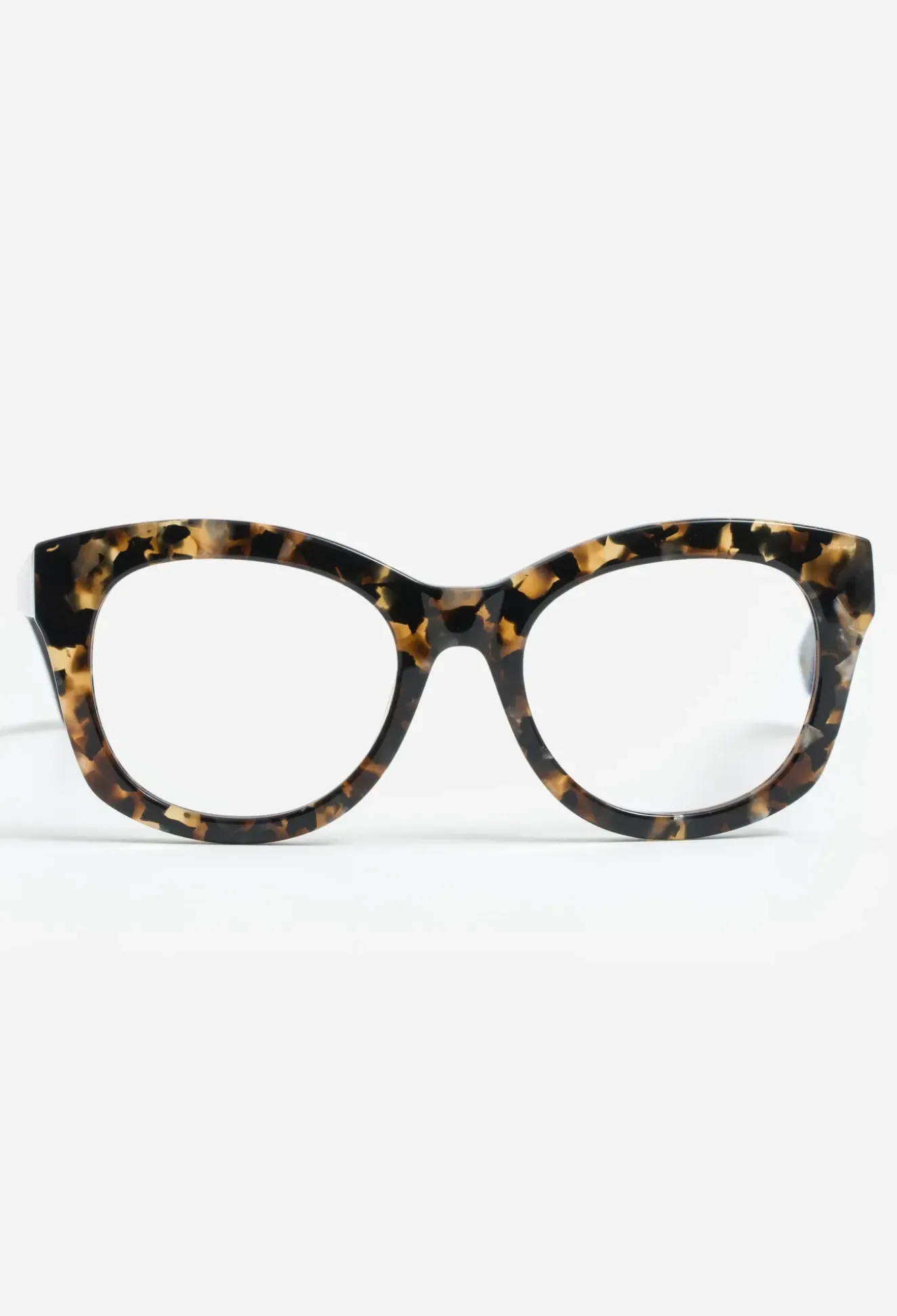 Florence Readers Tortoise