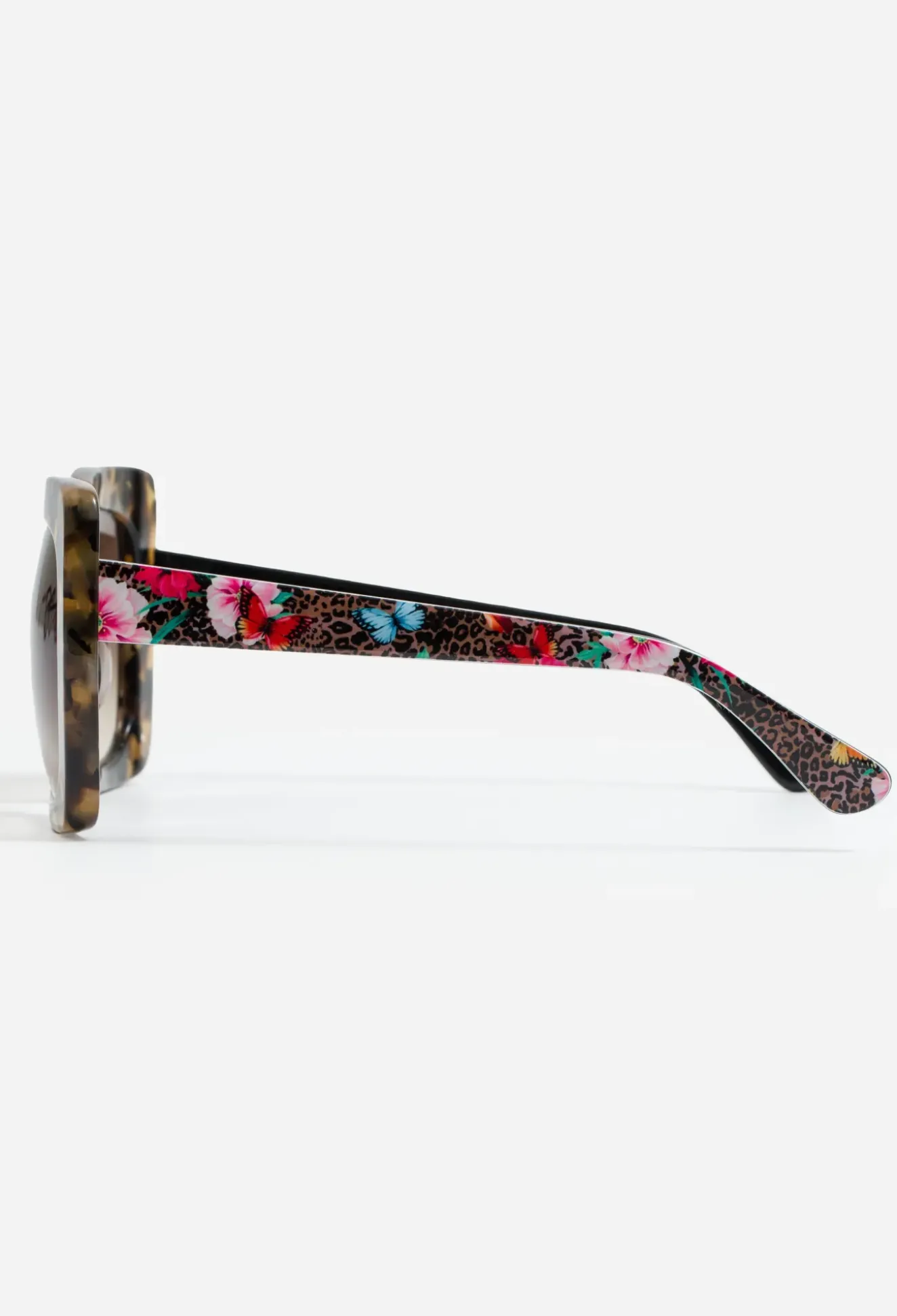 Florence Readers Tortoise