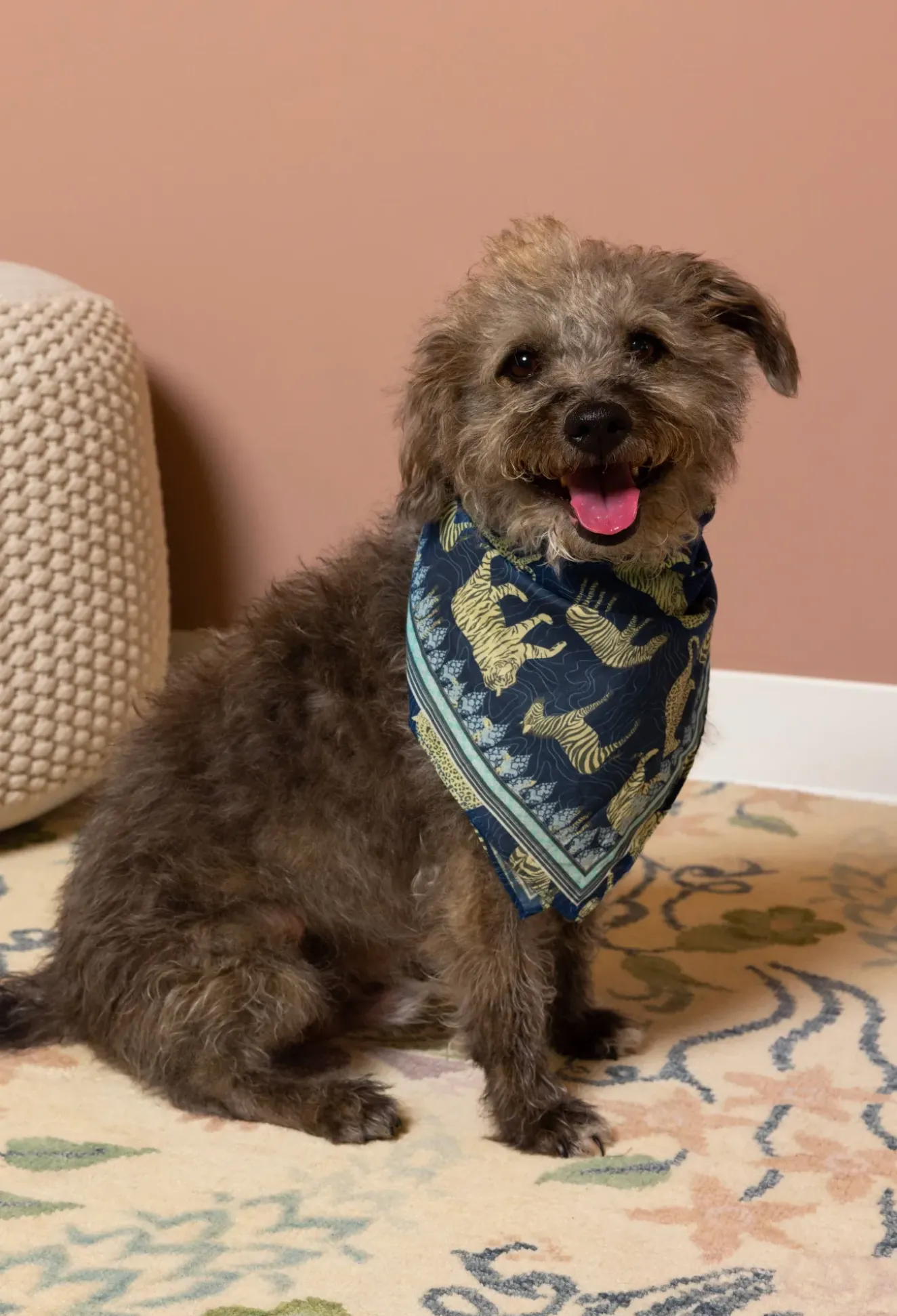 Pet Bandana