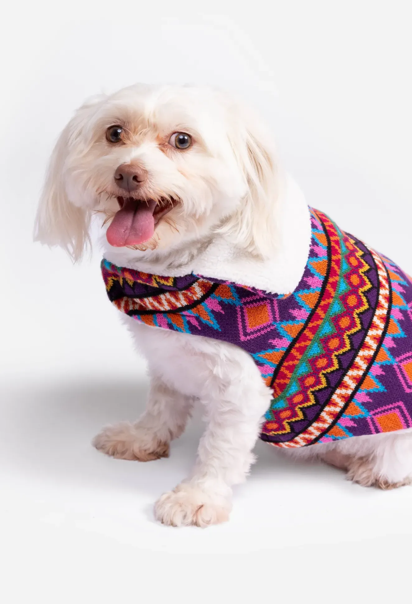 Reversible Dog Vest