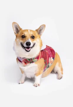 Sherpa Pet Jacket