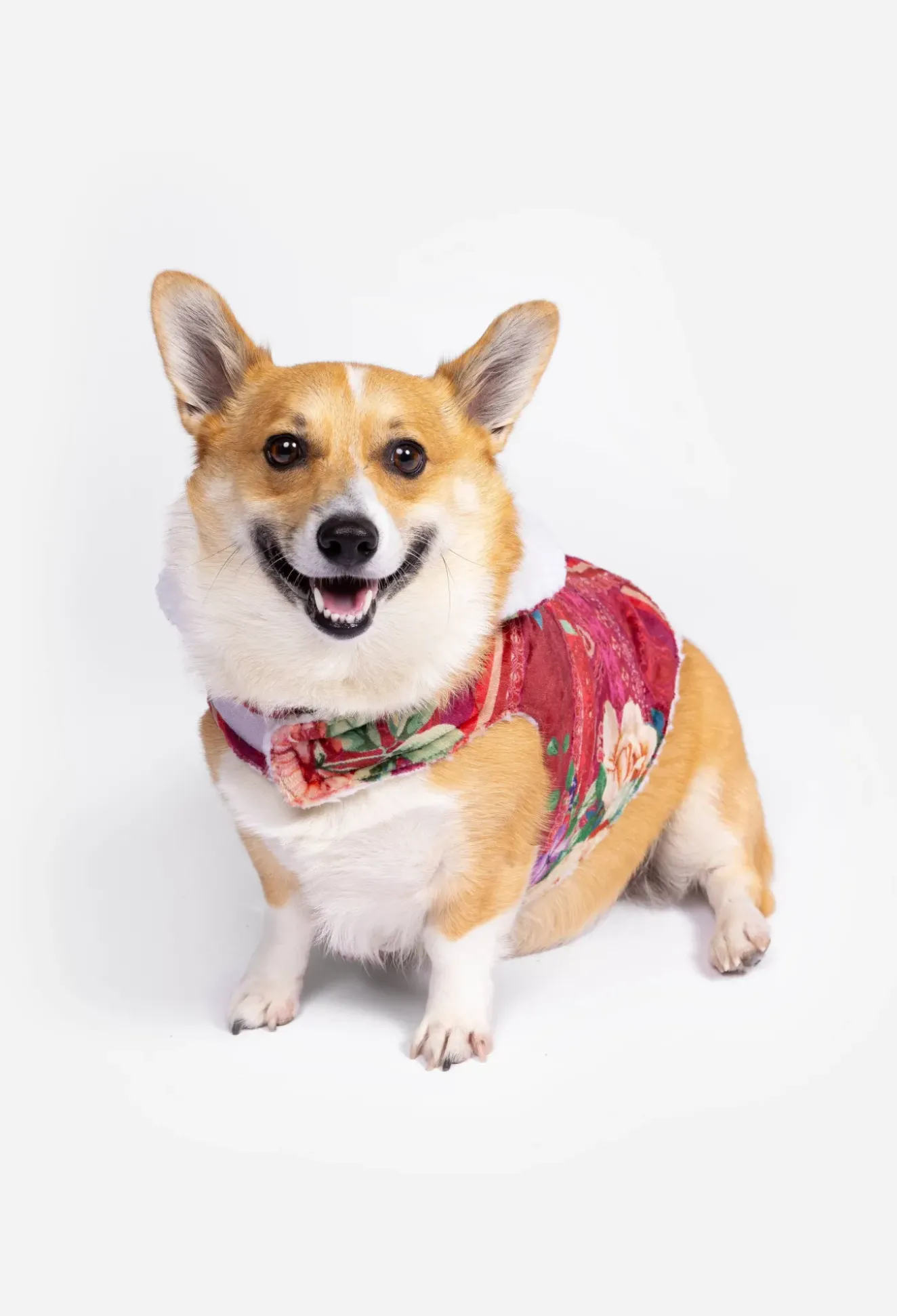 Sherpa Pet Jacket
