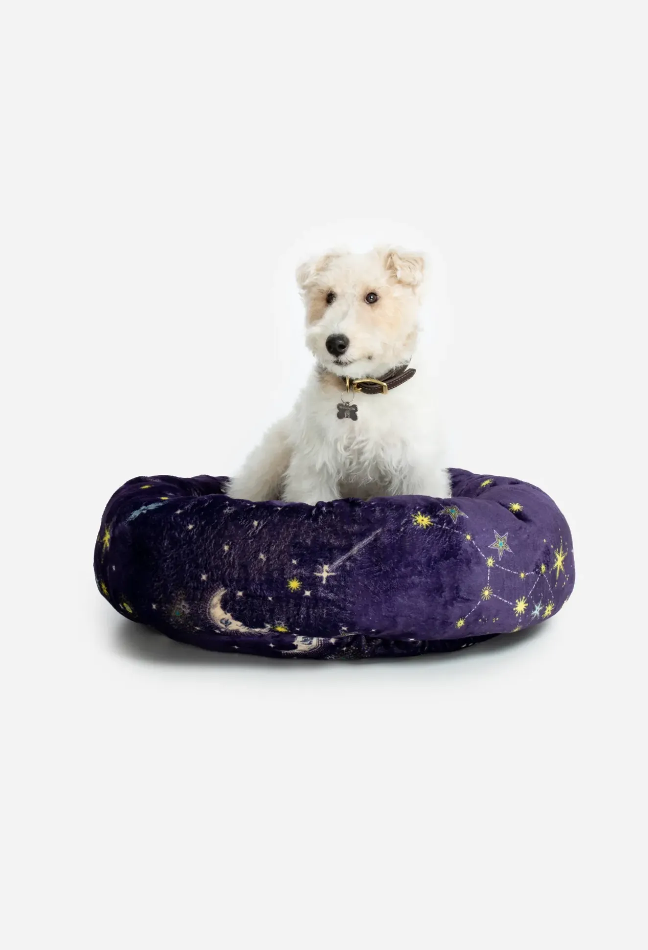 Small Dog Bed