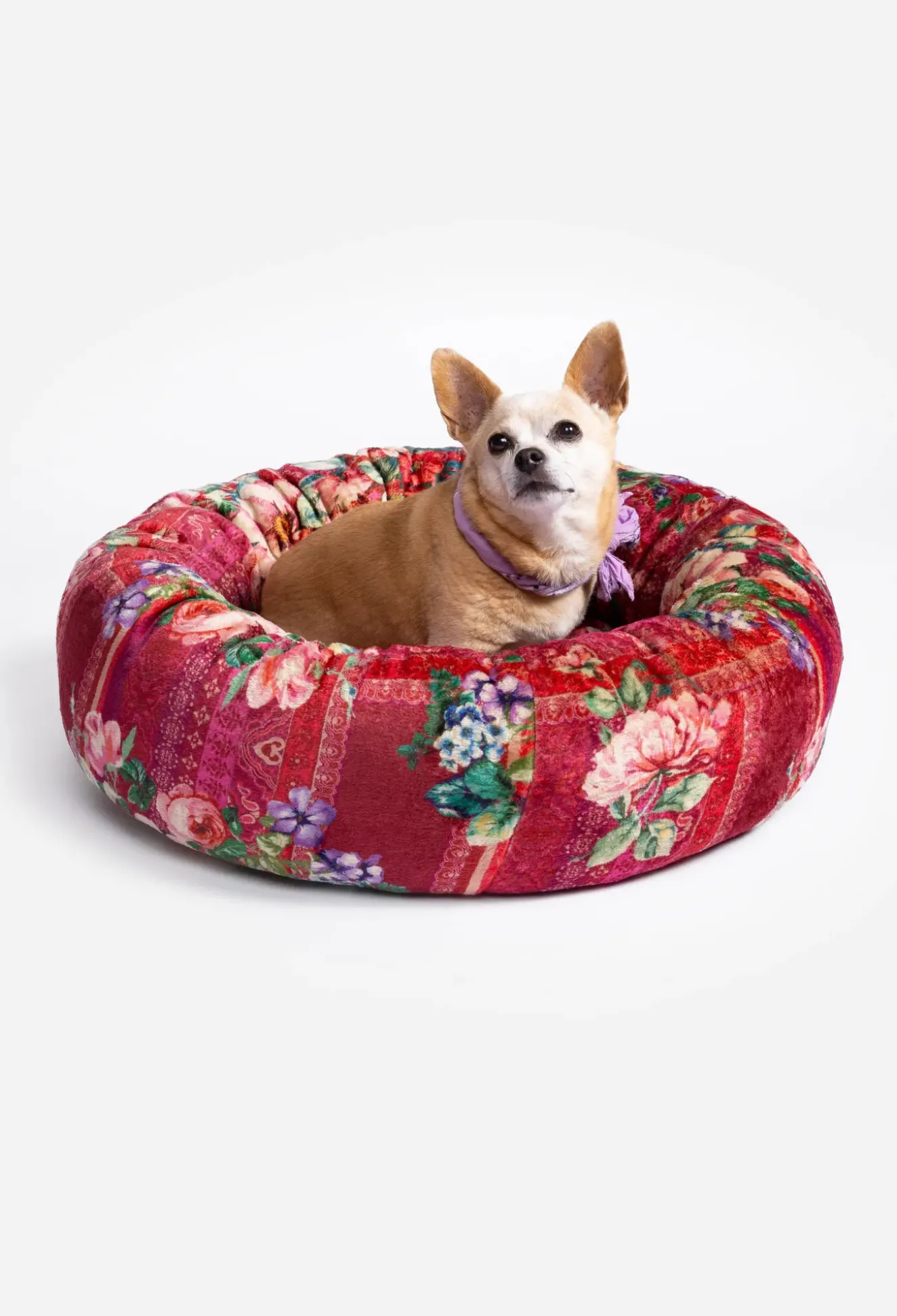 Small Dog Bed