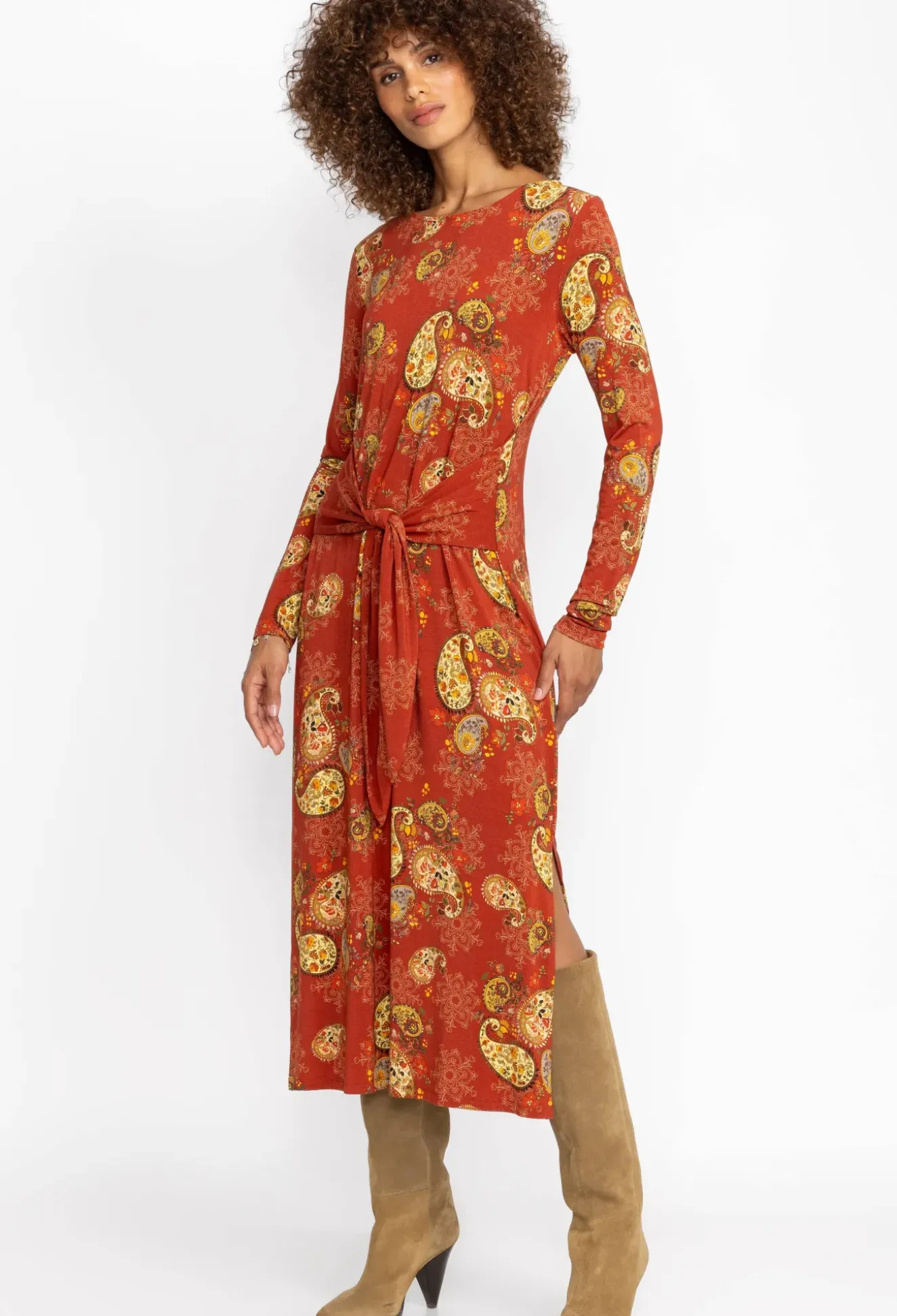 The Janie Favorite Long Sleeve Tie Front Knit Dress