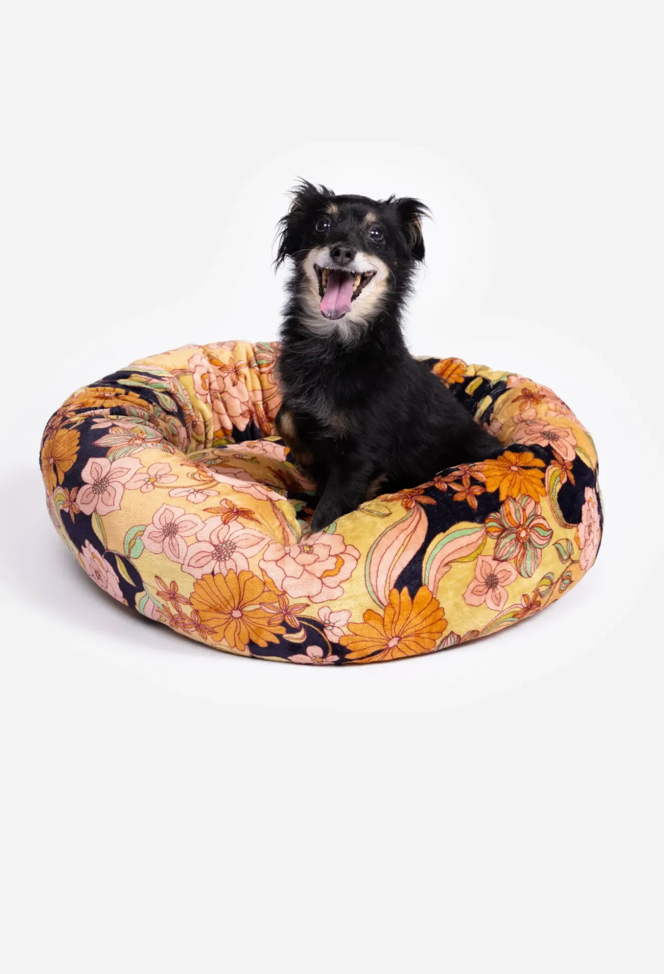 Wonder Years Small Dog Bed