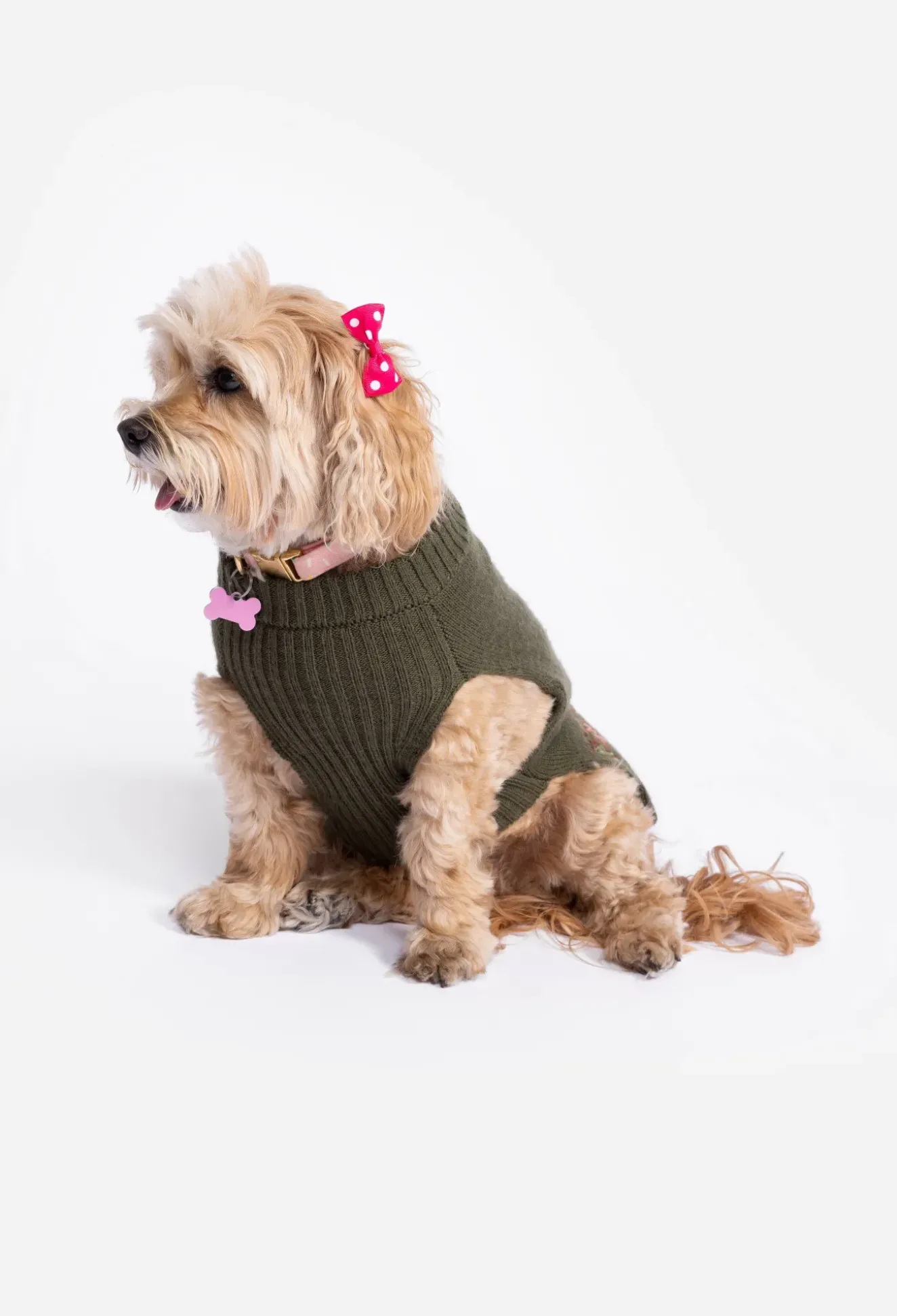 Zuzu Embroidered Dog Sweater