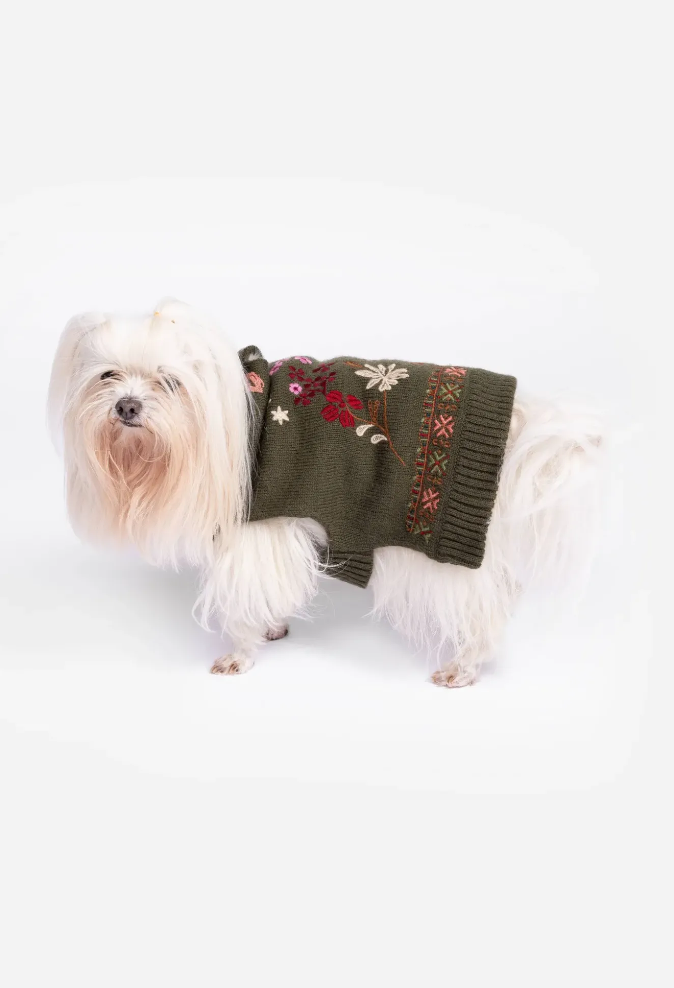 Zuzu Embroidered Dog Sweater